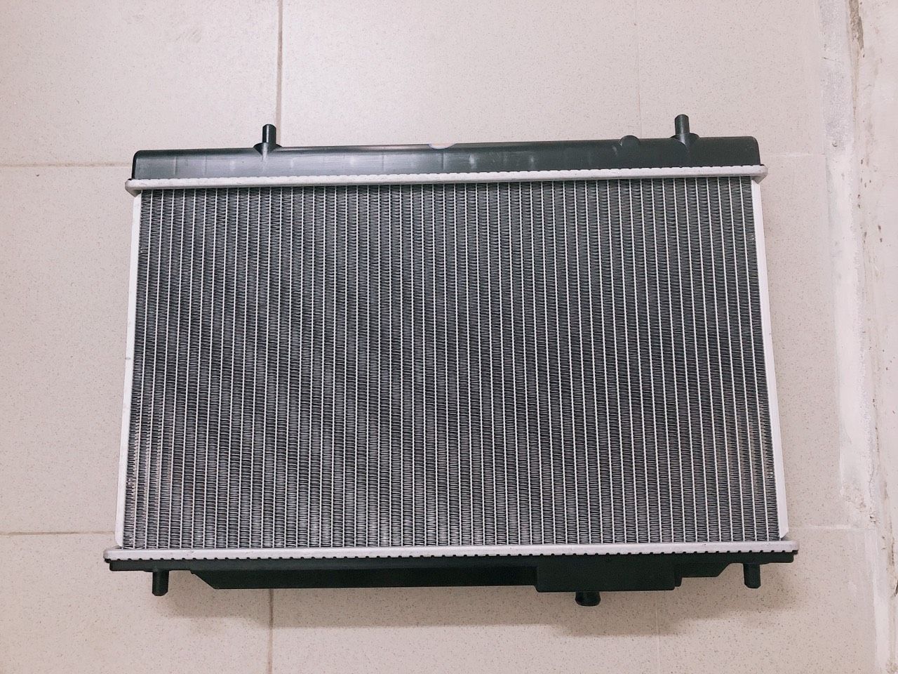Két nước Dongben 870