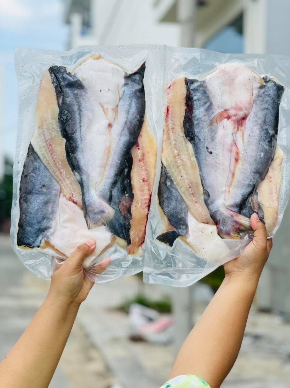 [GIAO NHANH 2H HCM] Giá Sỉ 1Kg Cá Dứa Xịn (2con/1Kg)