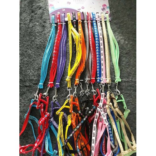 [HCM]Dây dắt chó mèo dạng yếm 1cm