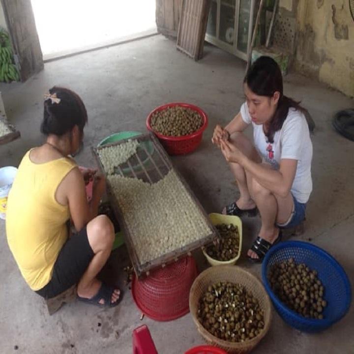 long nhãn hưng yên 1kg loại hảo hạng sạch)