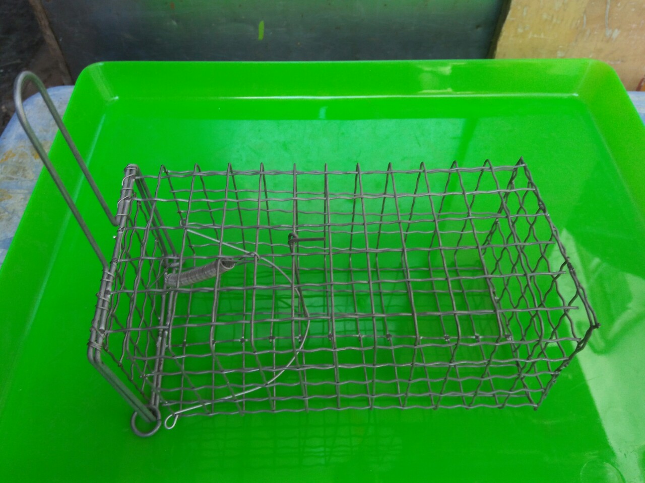 bộ 2 cái Lồng bẩy chuột , bẫy sóc loại trung