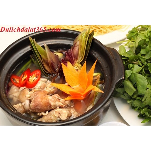 Hạt giống cây hoa atiso xanh Đà Lạt ( gói 04 hạt)