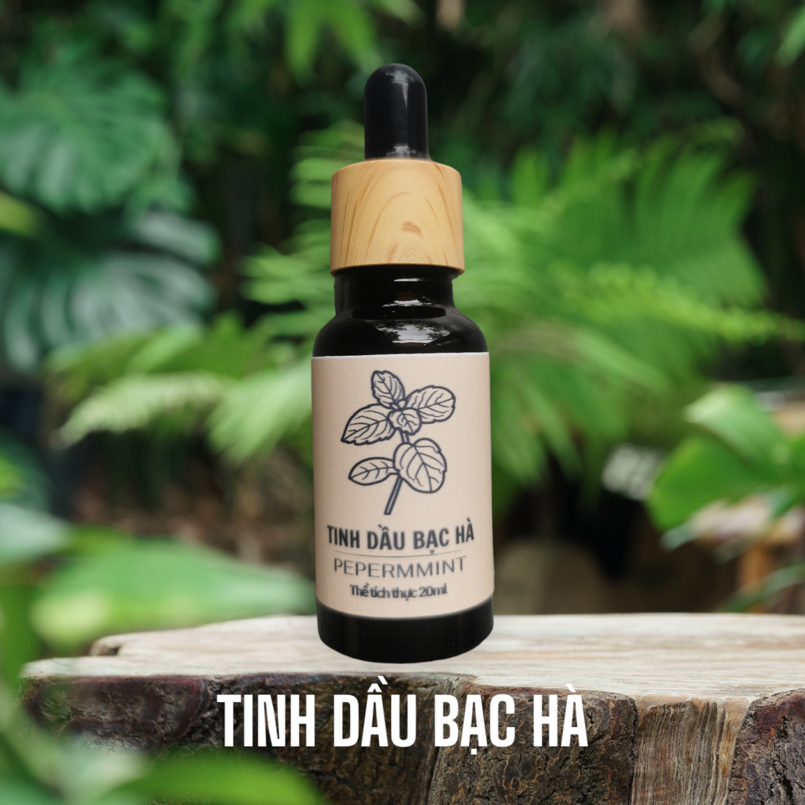 Tinh dầu bạc hà đậm đặc lọ 20ml