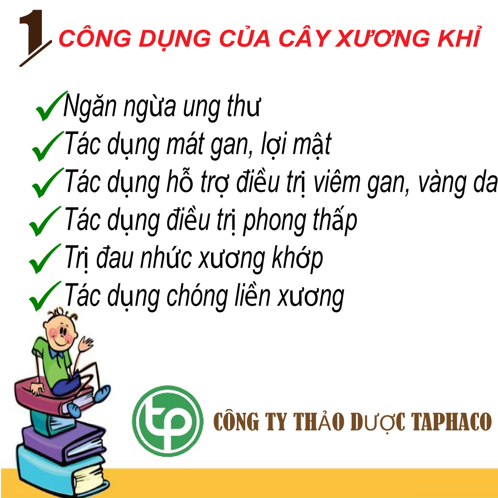 Cây bìm bịp ( xương khỉ ) khô Tấn Phát 500g