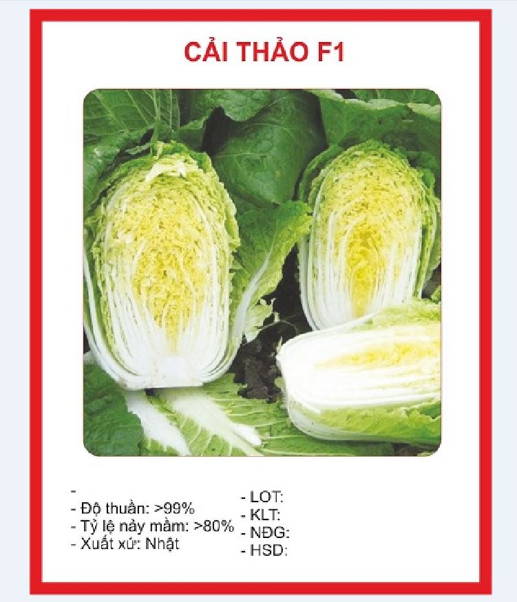 Hạt giống bắp cải thảo trắng -gói 0.2gram
