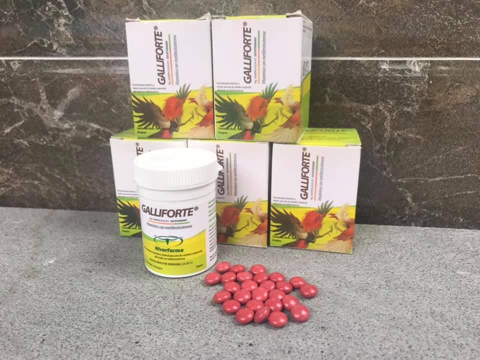 [HCM]Galliforte (1 hộp) - Pet Food Store.