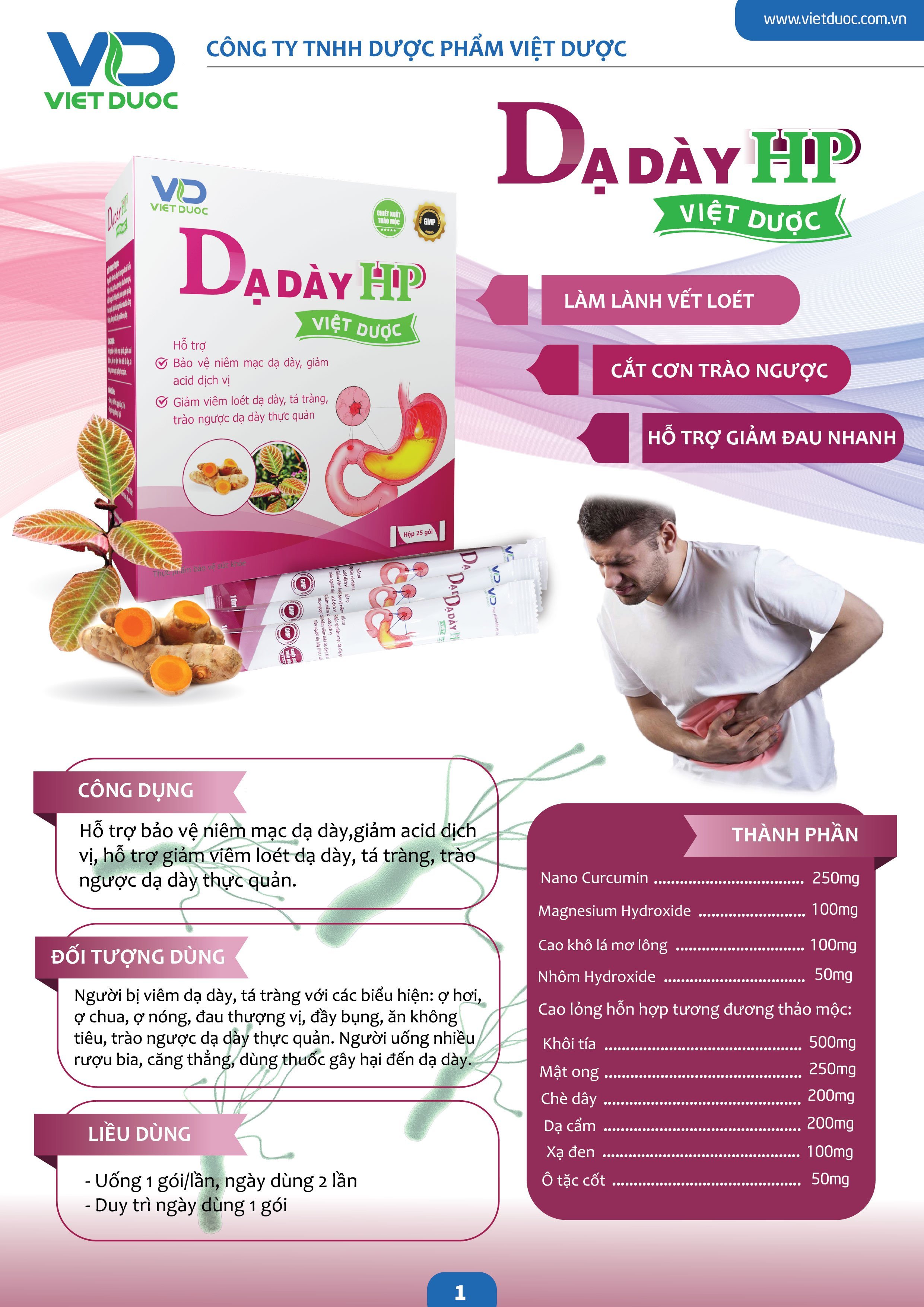Dạ Dày HP Việt Dược