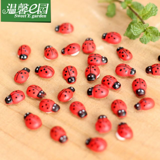 Con Bọ Nhỏ Làm Tiểu Cảnh