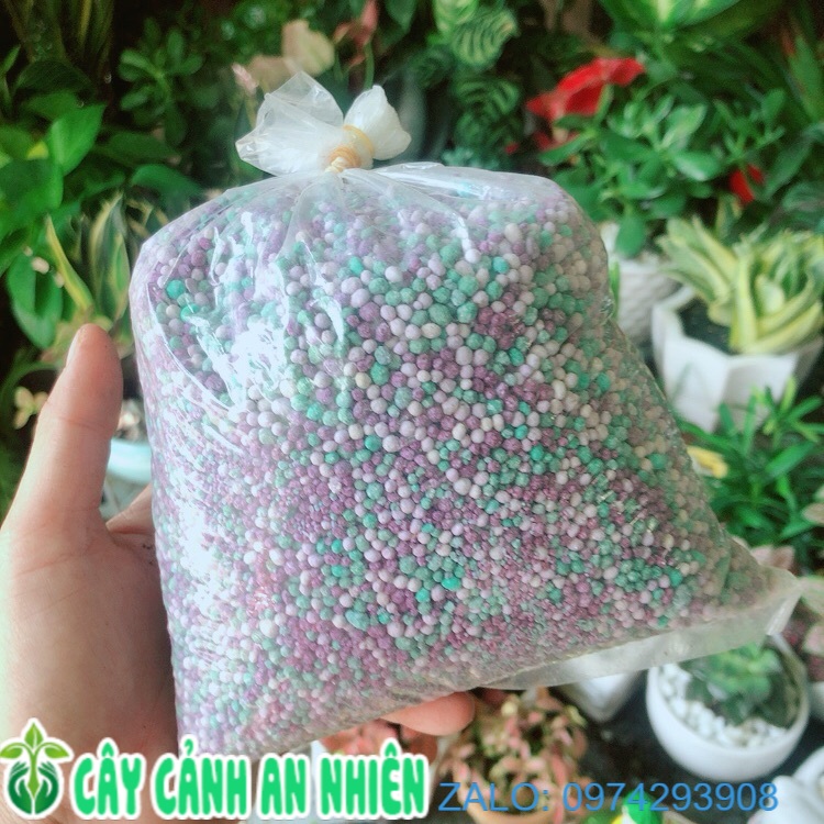 Phân đạm kích thích ra rễ, ra hoa