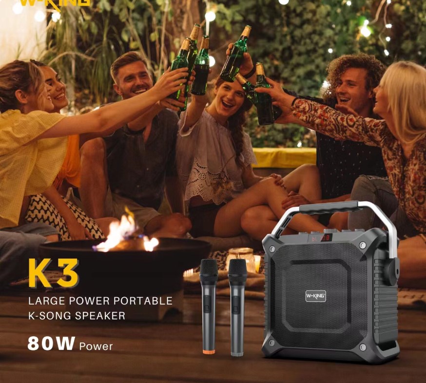 Loa bluetooth không dây karaoke w-king k3 công suất 80w