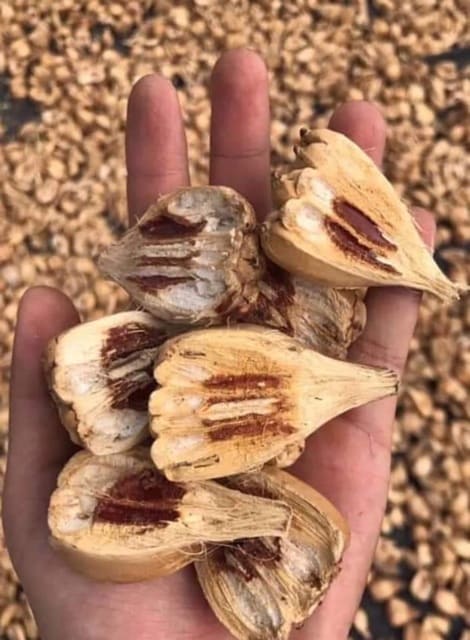 Quả dứa rừng - Quả dứa dại 500g