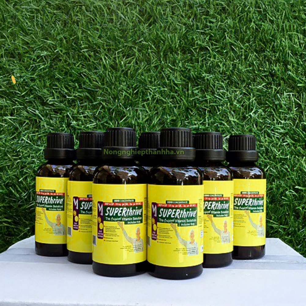 Hormon tăng trưởng cho lan Superthrive 50ml