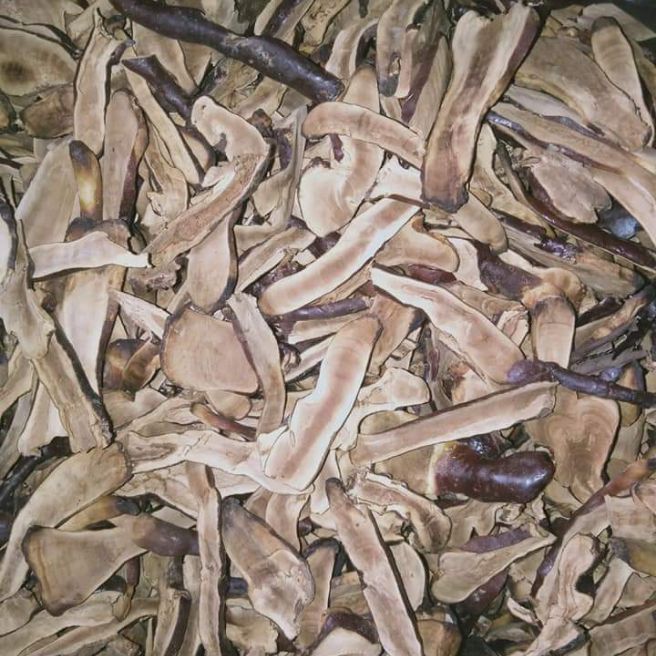 Sỉ toàn quốc 100g nấm lim xanh