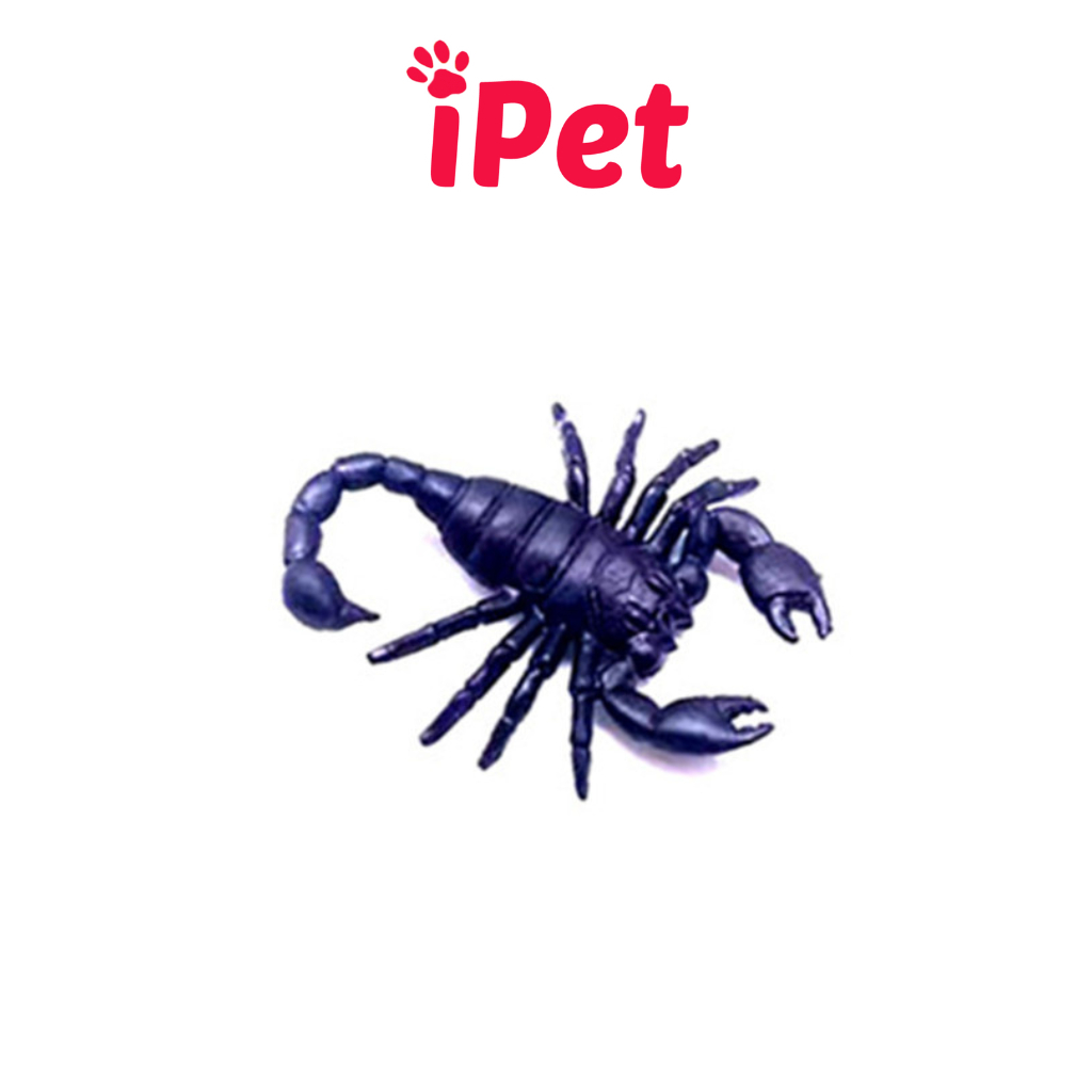 Đồ Chơi Con Gián Giả Côn Trùng Nhện Bọ Đồ Chơi Cho Chó Mèo Chơi Khăm - iPet Shop