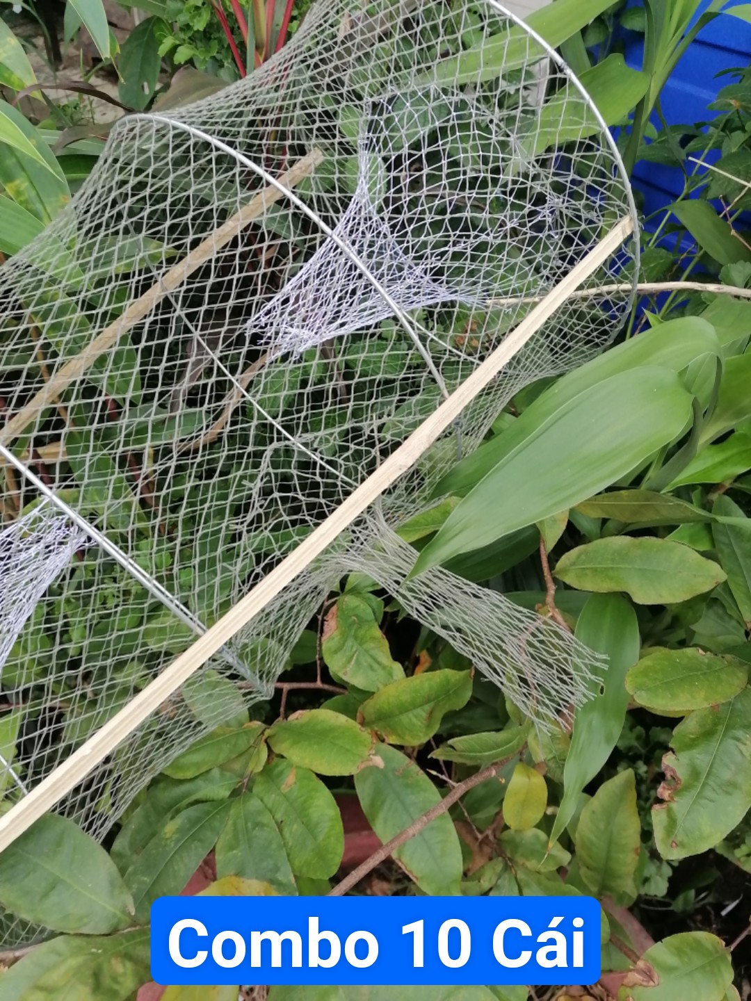 Lờ cá lóc ( Combo 10 cái, 4 Vành Kẽm, 30cm X 50cm )