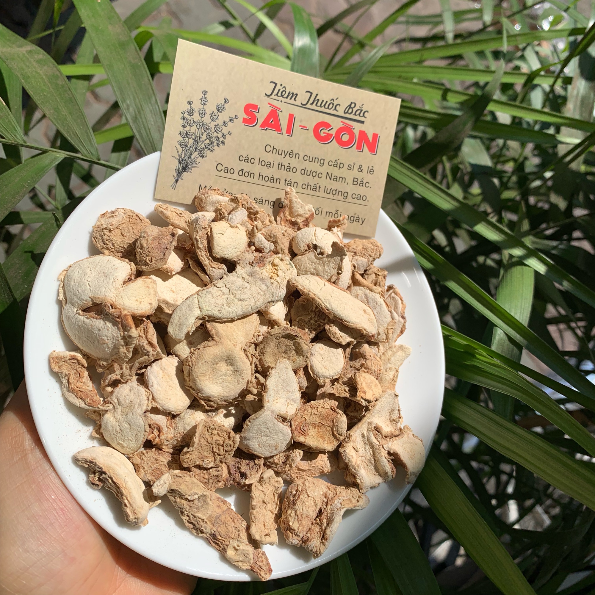[HCM]ĐỊA LIỀN 100GRAM Tiệm Thu ốc Bắc Sài Gòn