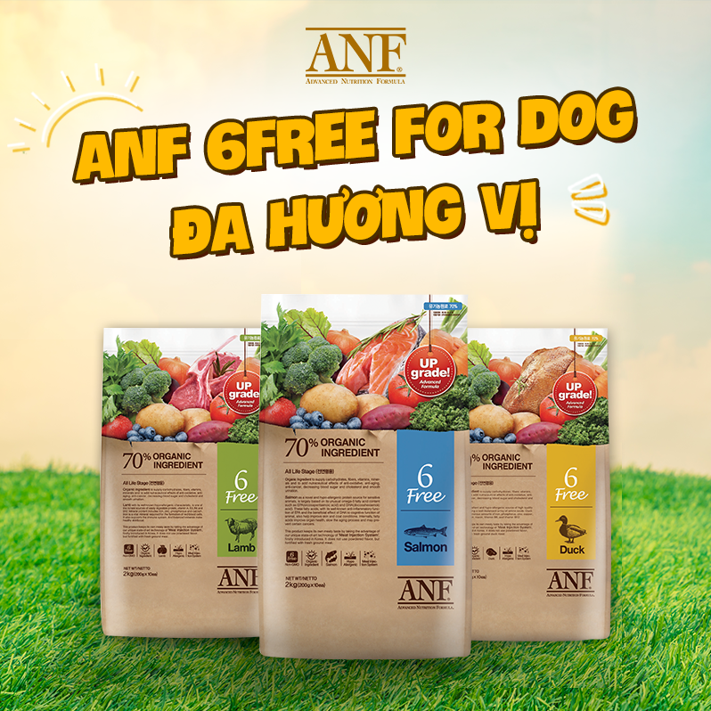 Free ANF 6 dog food 2kg