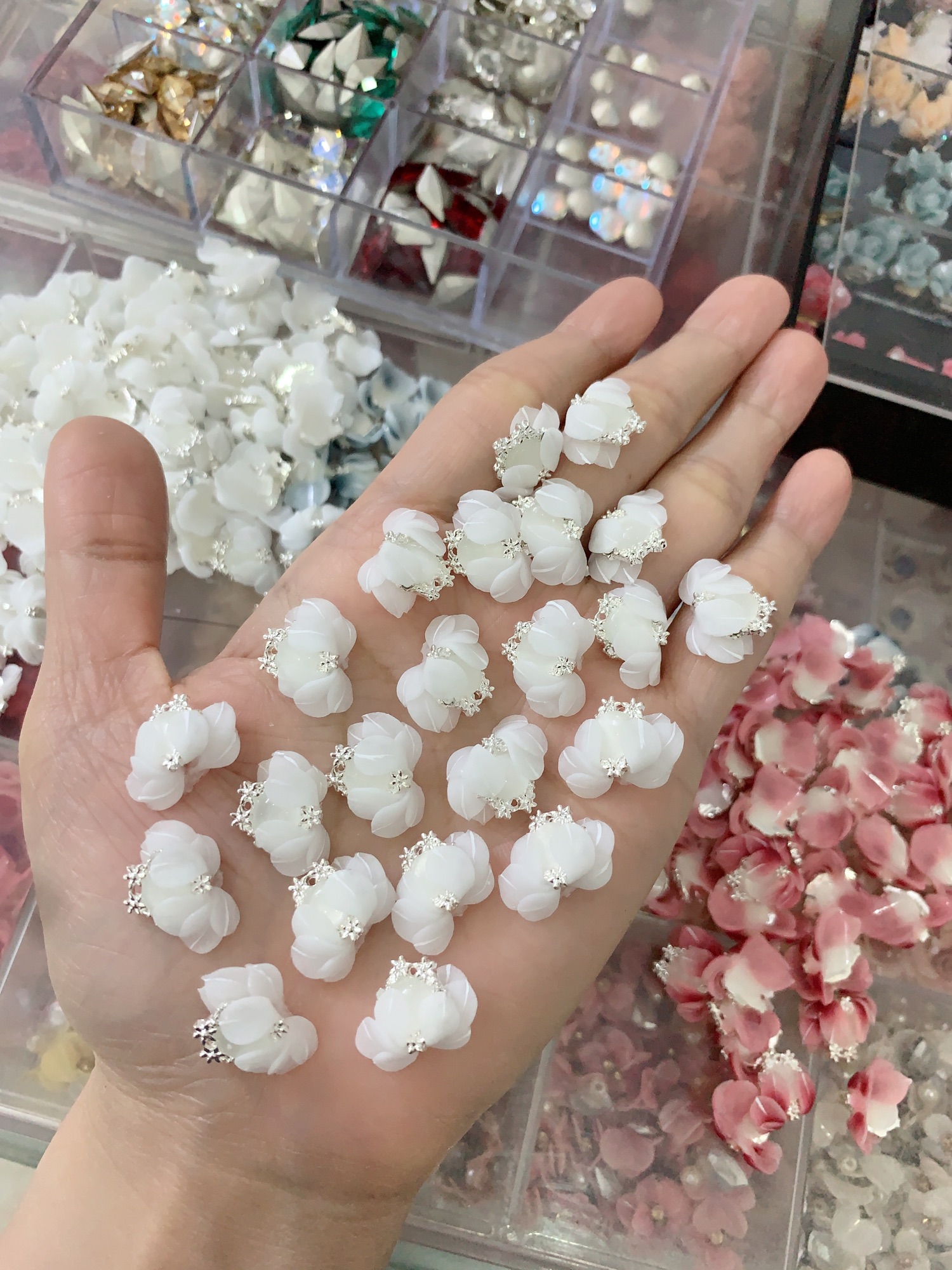 Hoa bột ôm đá