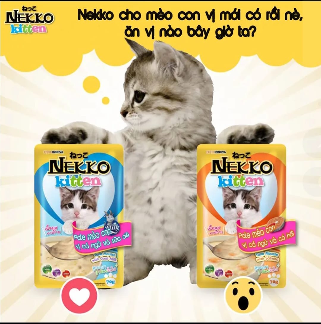 Pate Nekko Kitten cho mèo con 70g