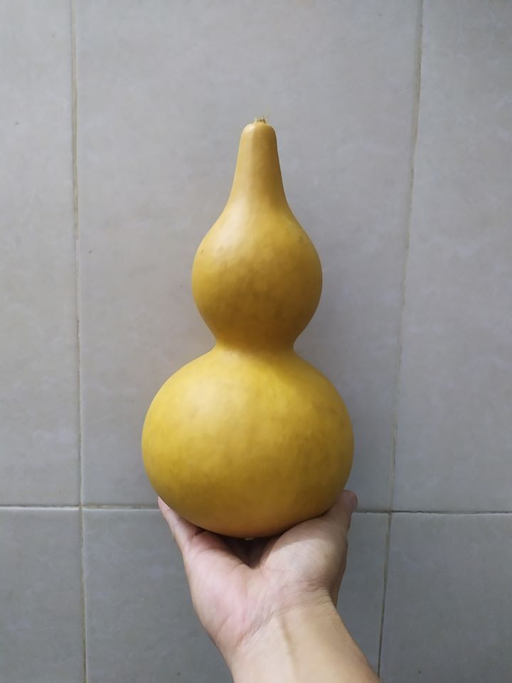 quả bầu hồ lô phong thủy cầu con.