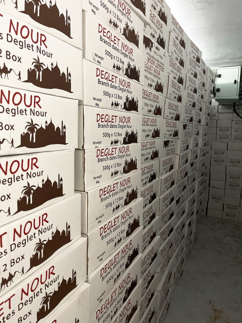 Chà Là Sấy Khô Nguyên Cành Deglet Nour Nhập Khẩu 500g