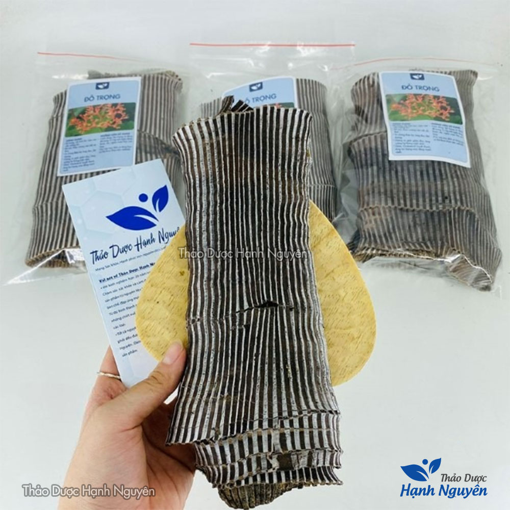 Đỗ trọng bắc khô 1kg, miếng to, đẹp, hỗ trợ bổ can thận, mạnh gân cốt, giảm đau xương khớp