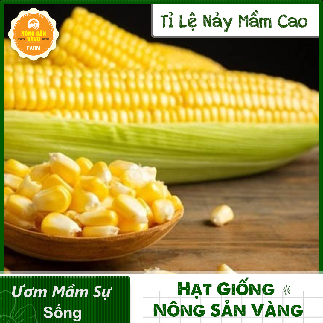 Hạt giống Bắp Mỹ (Ngô Mỹ) ( Gói 10 Gram ) - Nông Sản Vàng