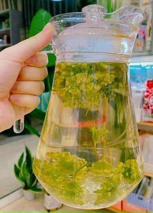 Trà hoa sâm Hàn Quốc, túi 500gr