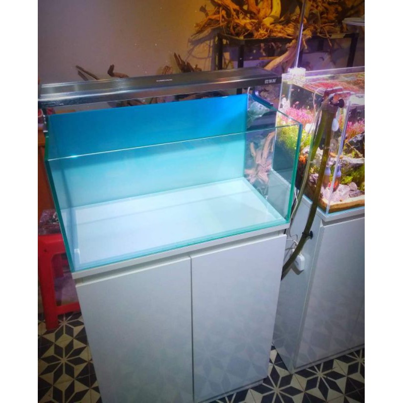 tranh 3d bể cá ADA