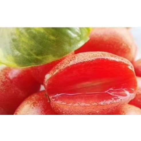 CÂY NHÓT NGỌT MỸ