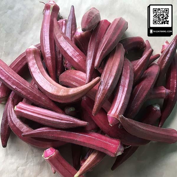 Hạt giống đậu bắp tím (mướp tây - đậu bắp đỏ) - Shop hạt giống Tạ Gia Trang