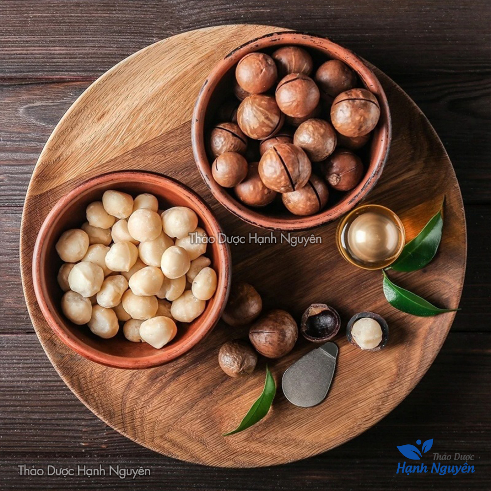 Hạt mắc ca 500g ( Hạt dinh dưỡng thơm ngon, dùng ăn vặt, làm sữa hạt) - Thảo Dược Hạnh Nguyên