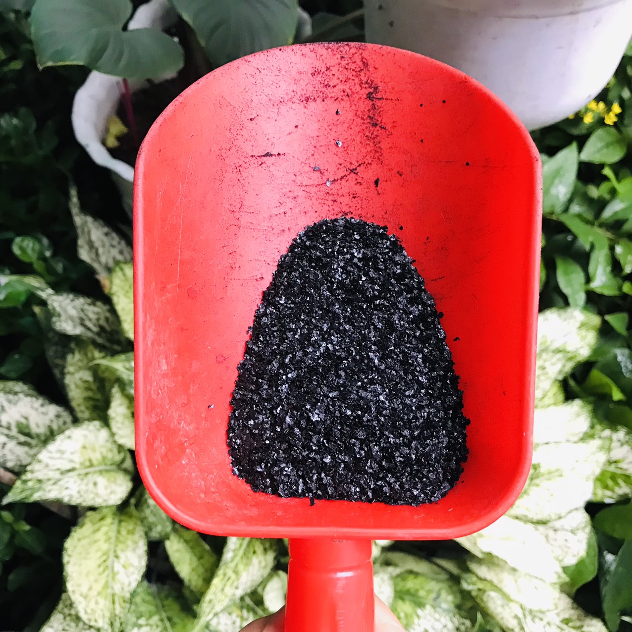 Phân Humic Hữu Cơ Ra Rễ SHOP TẾT