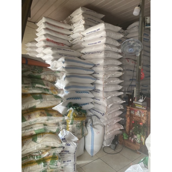 Gạo Tám Xoan Hải Hậu (Bao 10ky)