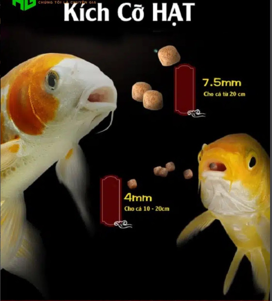 Cám AquaMaster Lẻ 1KG Cho Cá