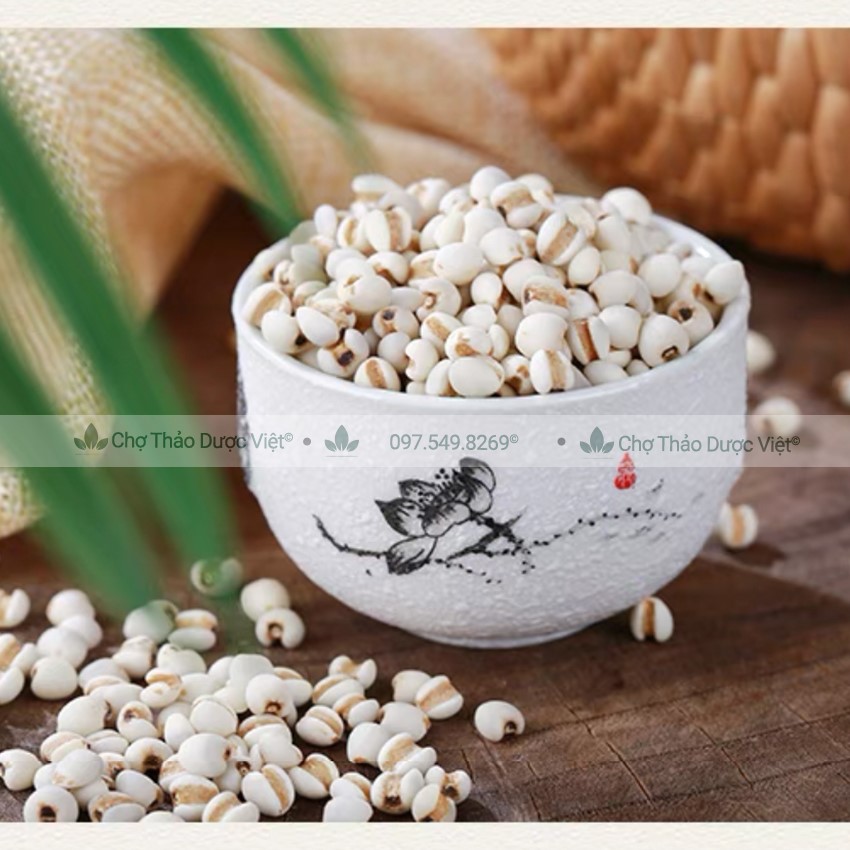 Hạt ý dĩ nếp 100g, hạt bobo, y dĩ nấu sữa hạt, thơm, bở bùi, nấu chè, cháo, hầm gà - Chợ Thảo Dược Việt
