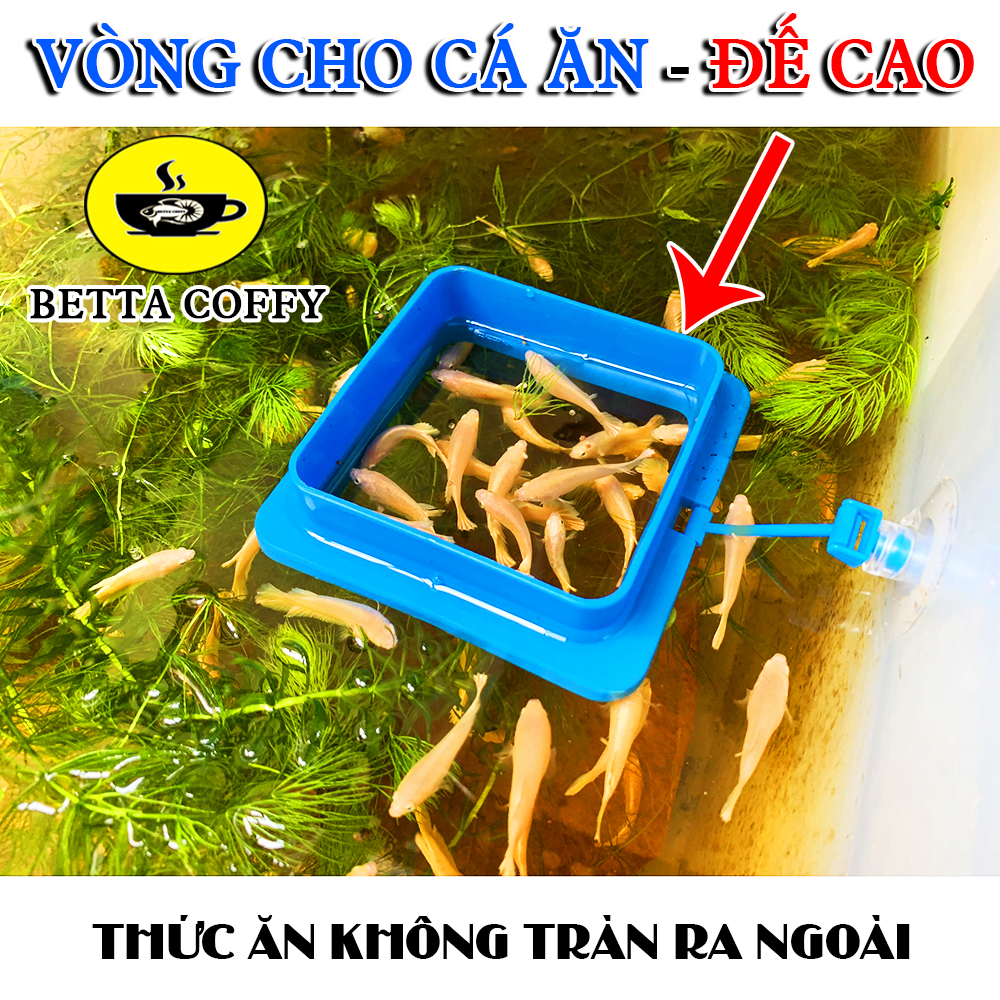 Vòng Cho Cá Ăn - Giữ Thức Ăn Cho Cá Cảnh - (Hình Tròn)