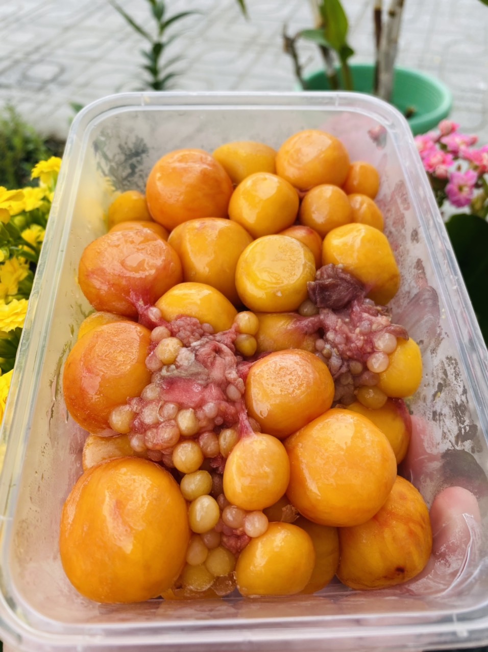 [GIAO NHANH 2H HCM] Giá sỉ 1Kg Trứng Gà Non