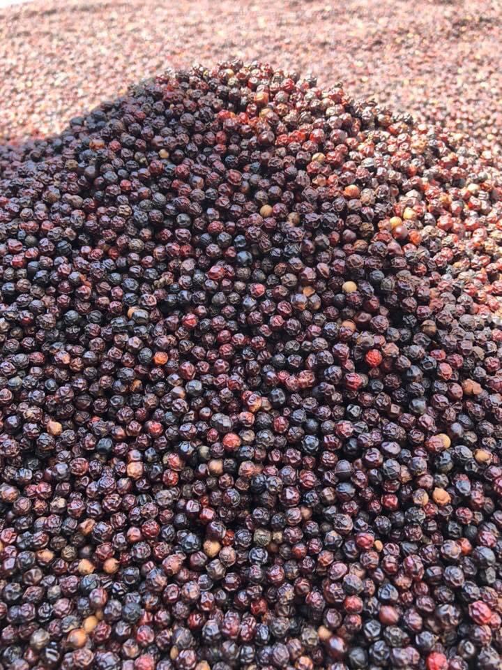 Tiêu chín Phú Quốc bịch 1kg