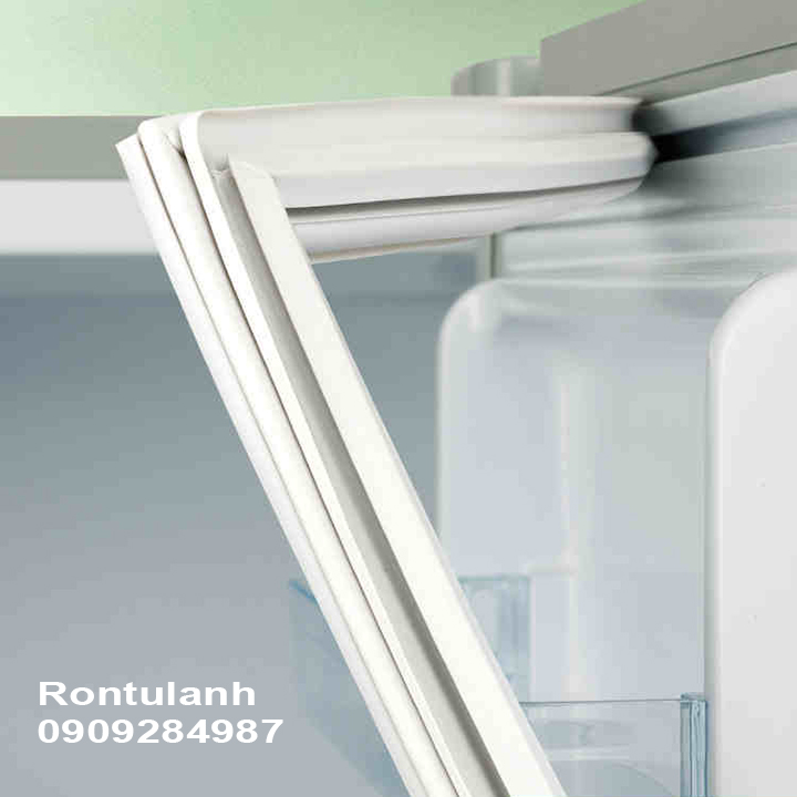 Ron Tủ lạnh Aqua model AQR-S189DN(DC)