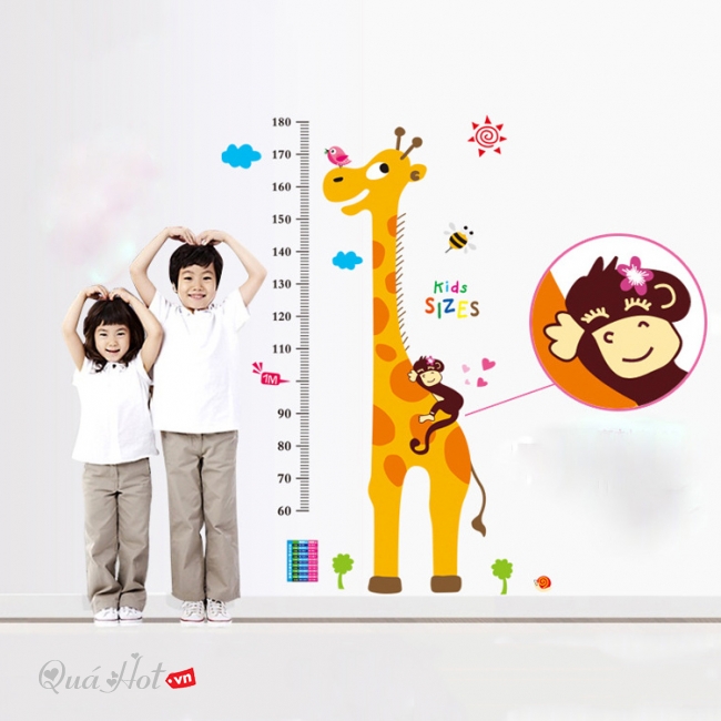 Decal Đo chiều cao