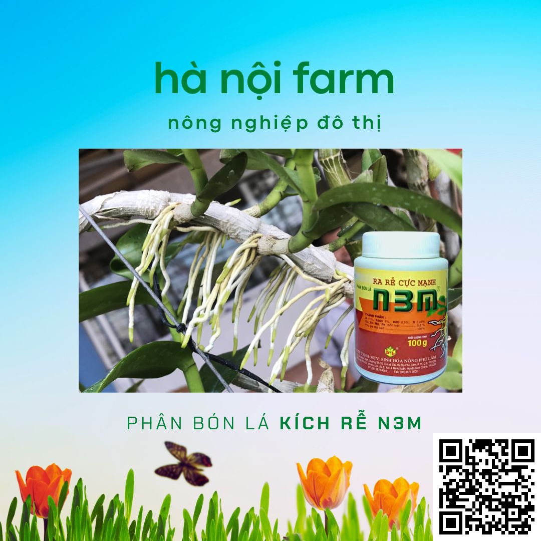 N3M kích ra rễ, N3M bột 100g