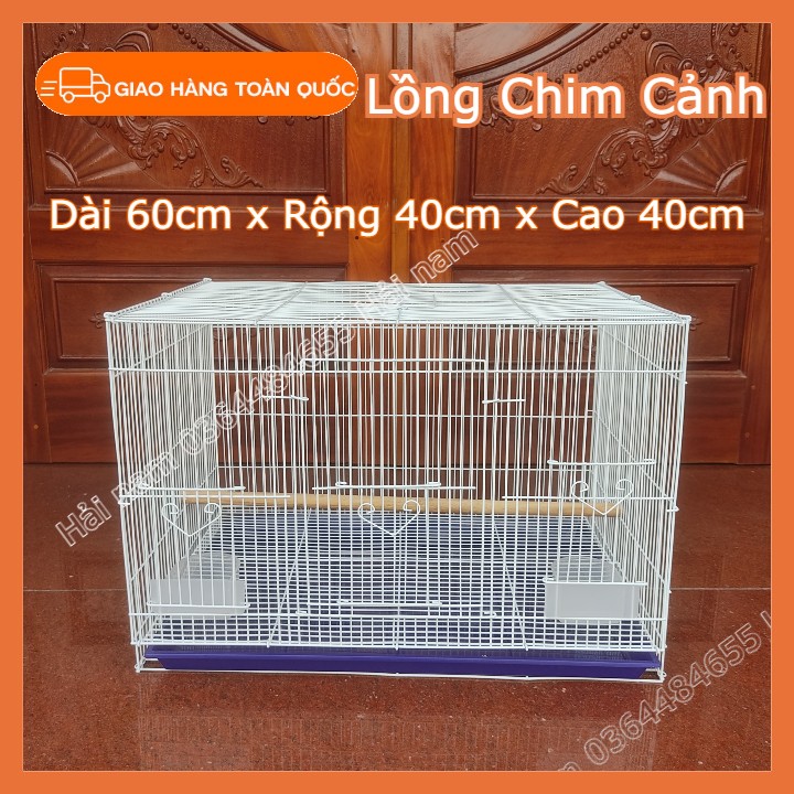 LỒNG NUÔI CHIM-LỒNG NUÔI CHIM NHỎ-LỒNG SIZE 60x40x40