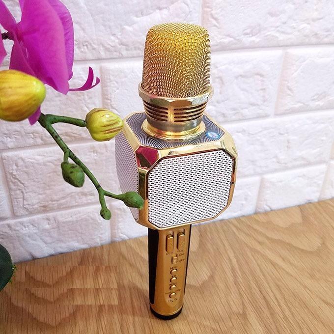 Micro kèm loa Bluetooth Karaoke SD-10  cực hay)