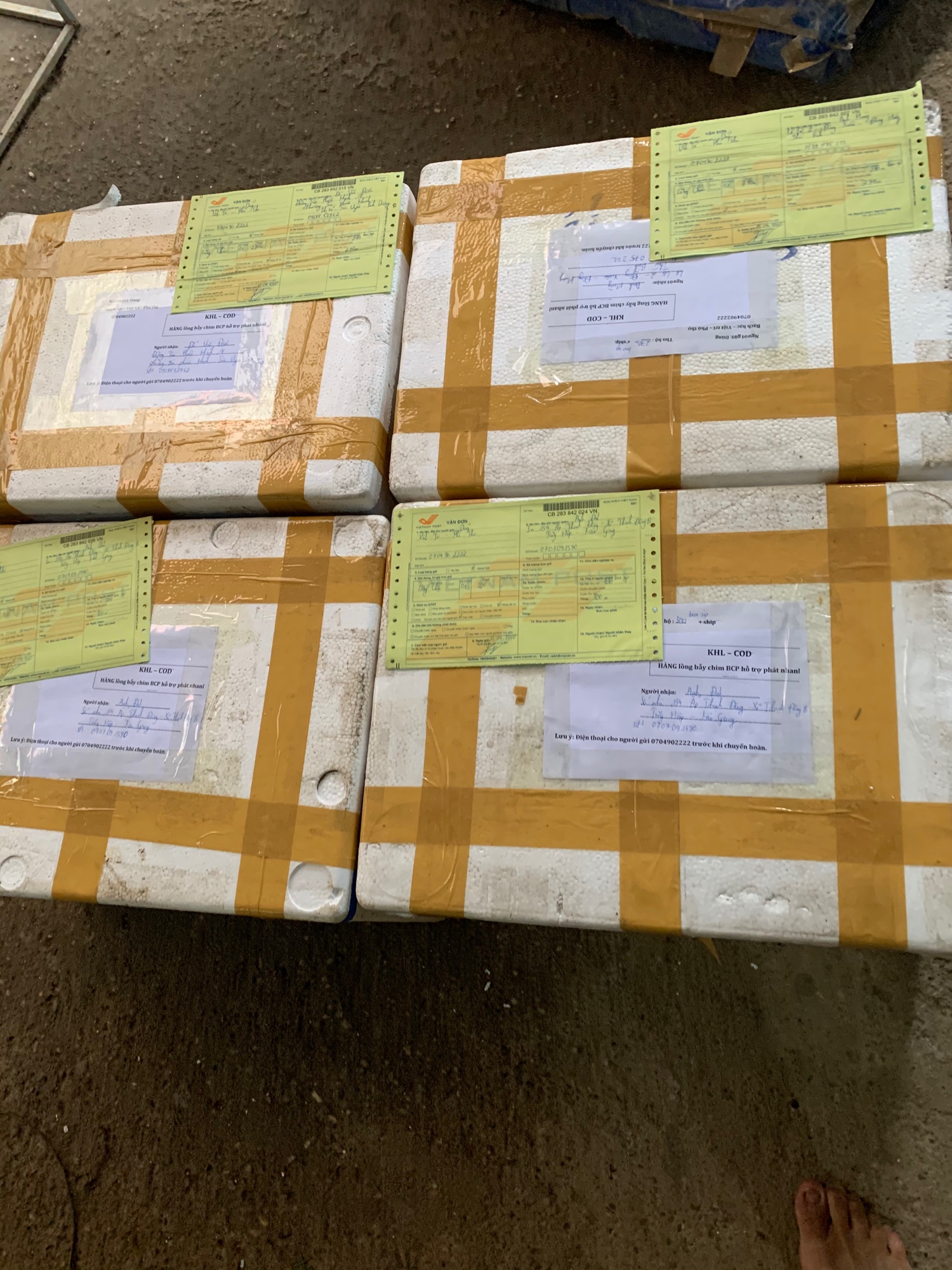 Lồng Bẫy chim đa nằn tự động