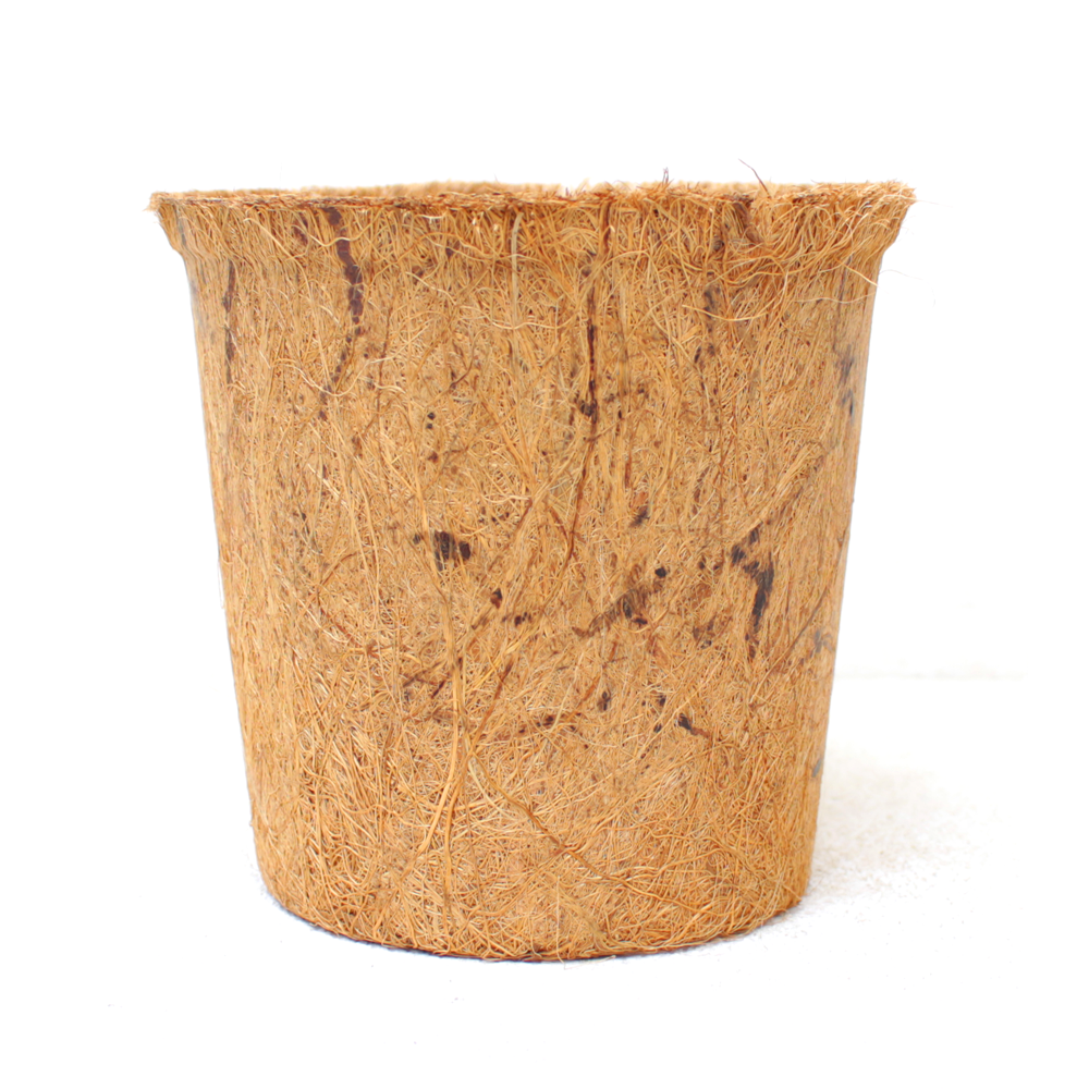 Chậu Xơ Dừa tự nhiên 12x11.3cm