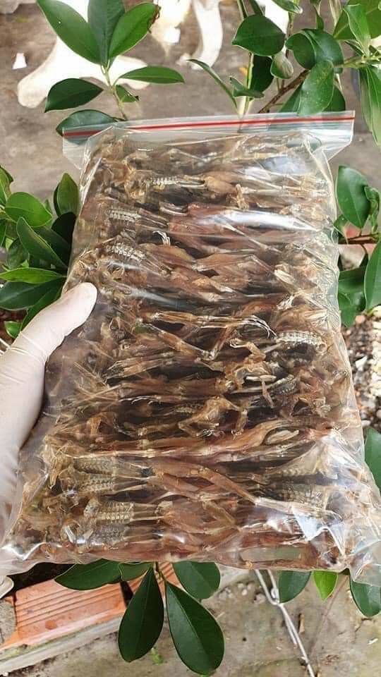 Khô nhái An Giang 500g
