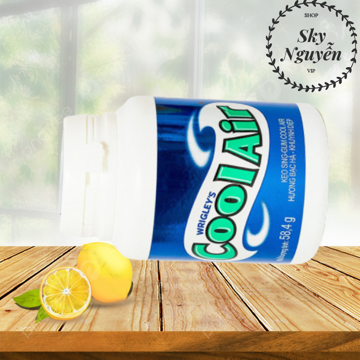KẸO SINGUM 58.4G COOLAIR
