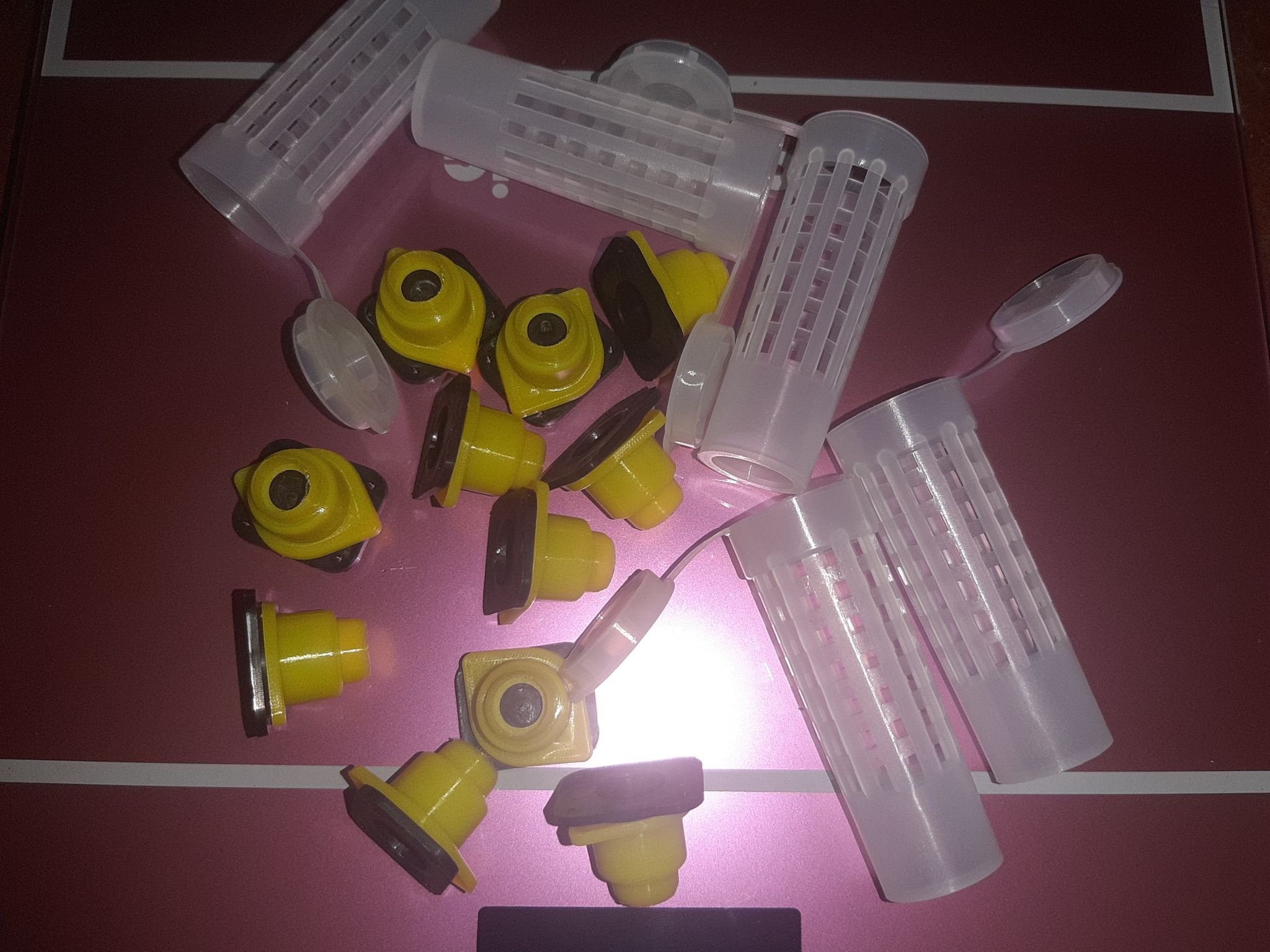 10 lồng nhốt chúa
