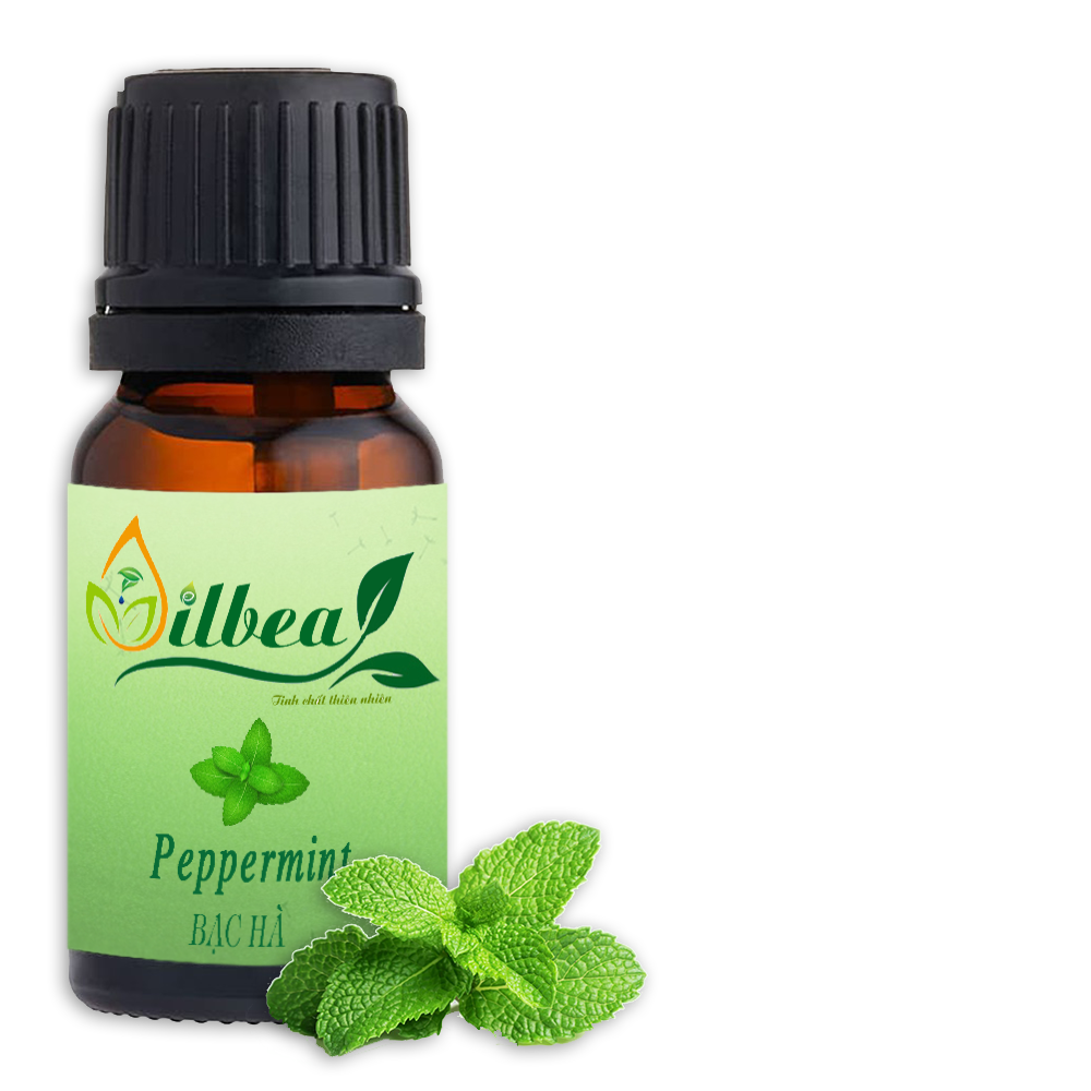 Tinh Dầu Bạc Hà 10ml 50ml 100ml